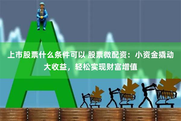 上市股票什么条件可以 股票微配资：小资金撬动大收益，轻松实现财富增值